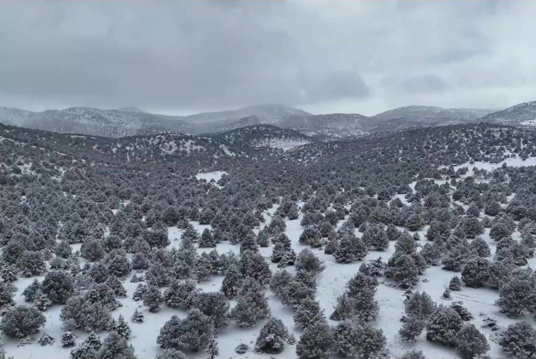 Konya’nın kış güzelliği! Ünlü yayla masalsı manzaralar sunuyor 9